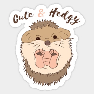 Cute & Hedgy Sticker